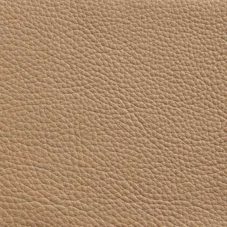 Elmorutsical Leather