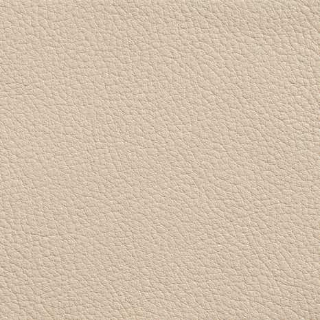 Elmorutsical Leather