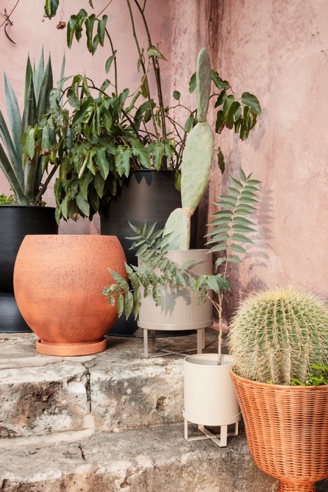 Bau Pots and Balcony planters 