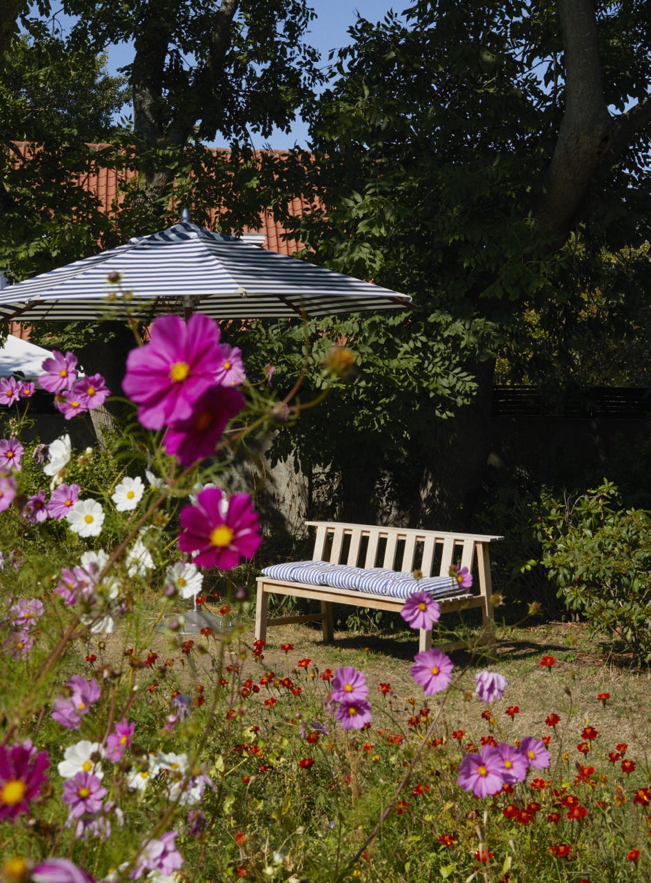 Parasols 