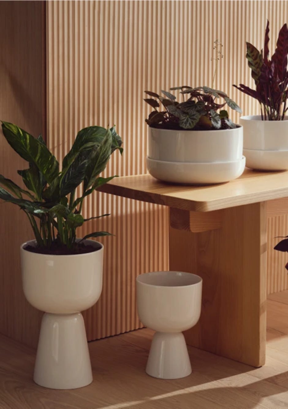 Nappula Plant Pots