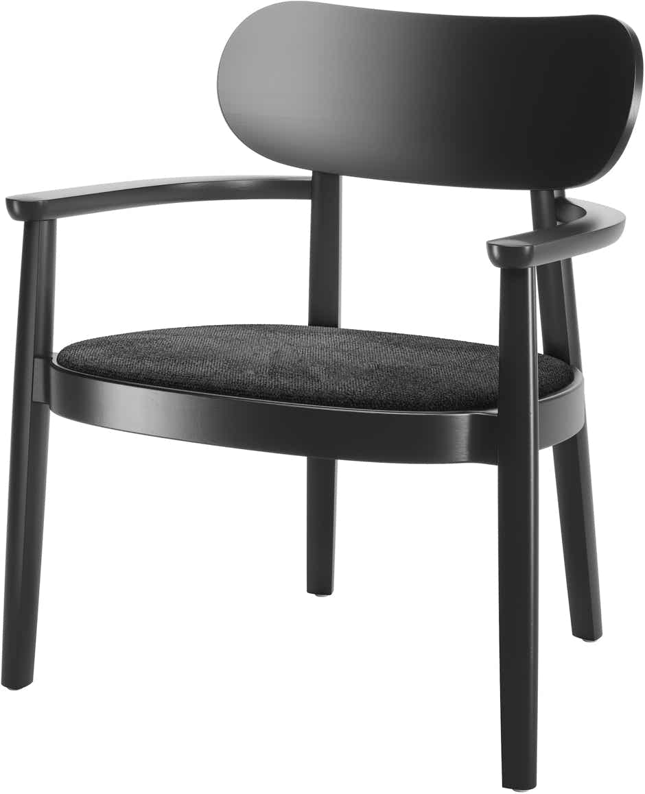 Fauteuil 119 SPF (assise rembourrée)