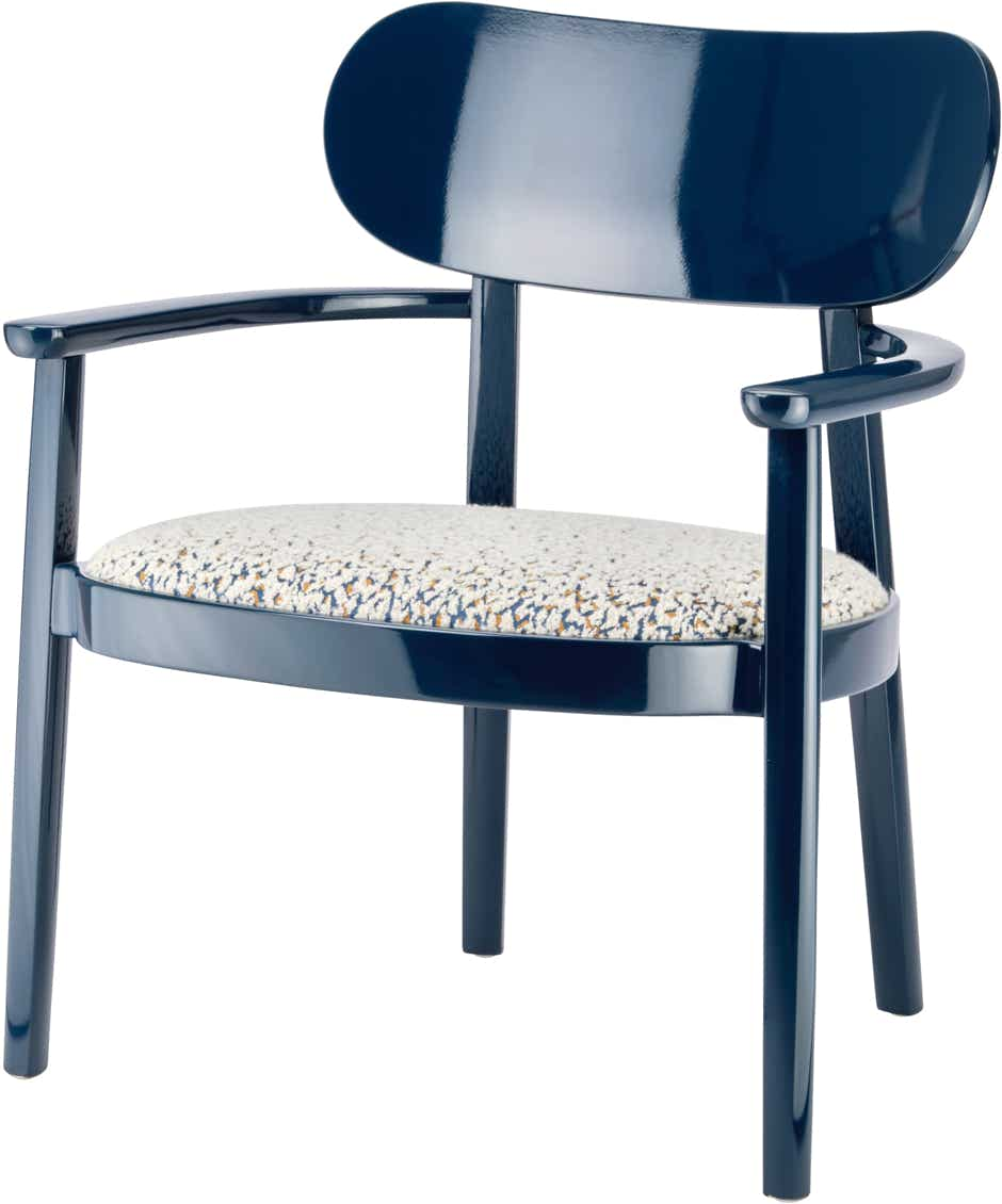 Fauteuil 119 SPF (assise rembourrée)