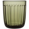 EPUISE - Lot de 2 verres à eau Raami – vert mousse – 26 cl - Iittala