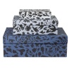 3 boxes Cheetah Blue OTC - Iittala