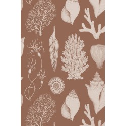 toffee brown - Shells Wallpaper - Katie Scott - Ferm Living