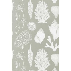 SOLD OUT Aqua - Shells Wallpaper - Katie Scott - Ferm Living