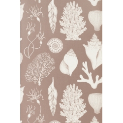 ÉPUISÉ dusty rose - papier peint Shells - Katie Scott - Ferm Living