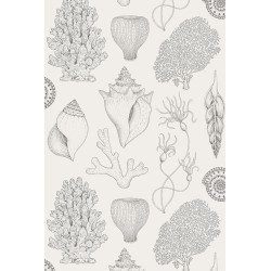 SOLD OUT - Off-white - Shells Wallpaper - Katie Scott - Ferm Living