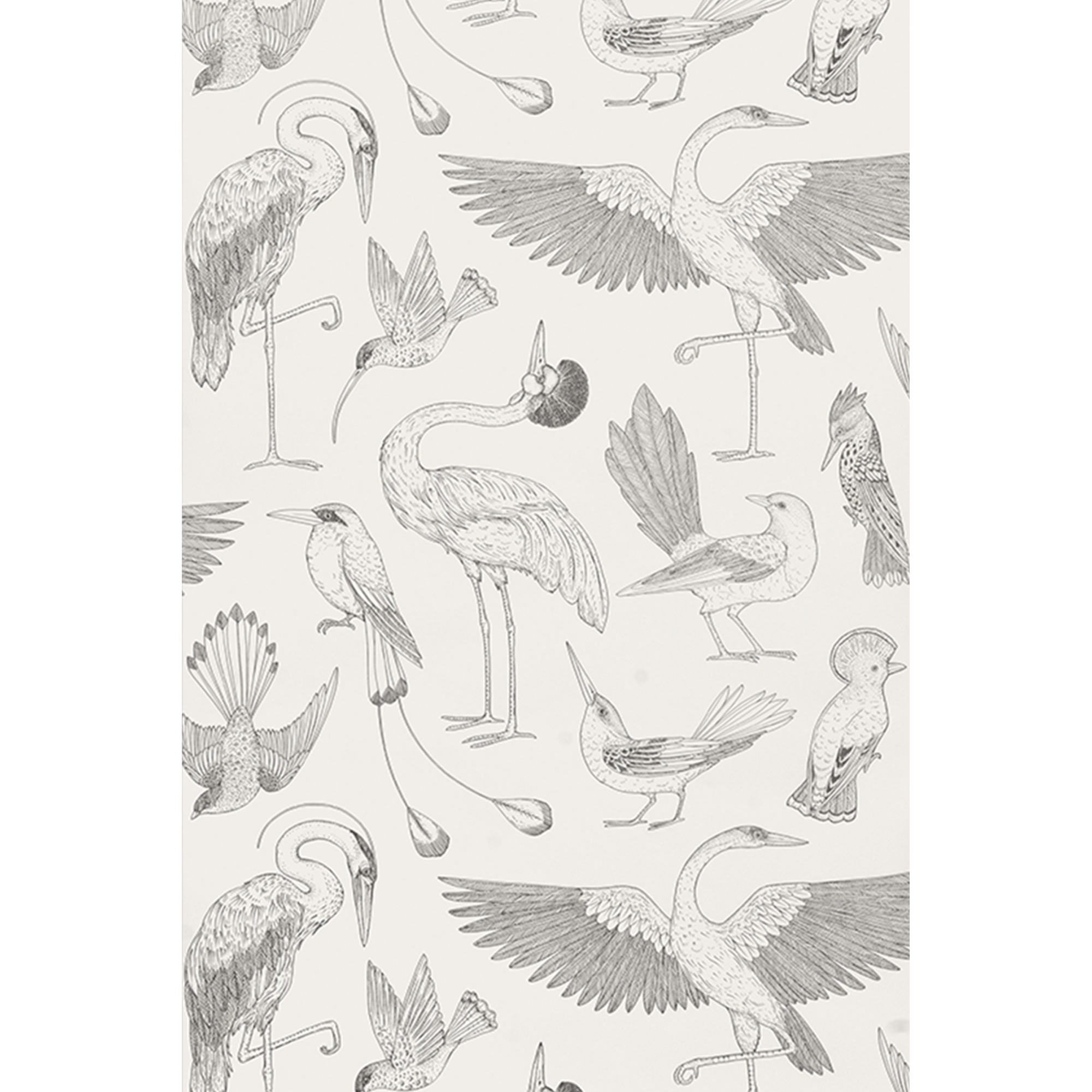 ÉPUISÉ - Off-white - papier peint Birds - Katie Scott - Ferm Living