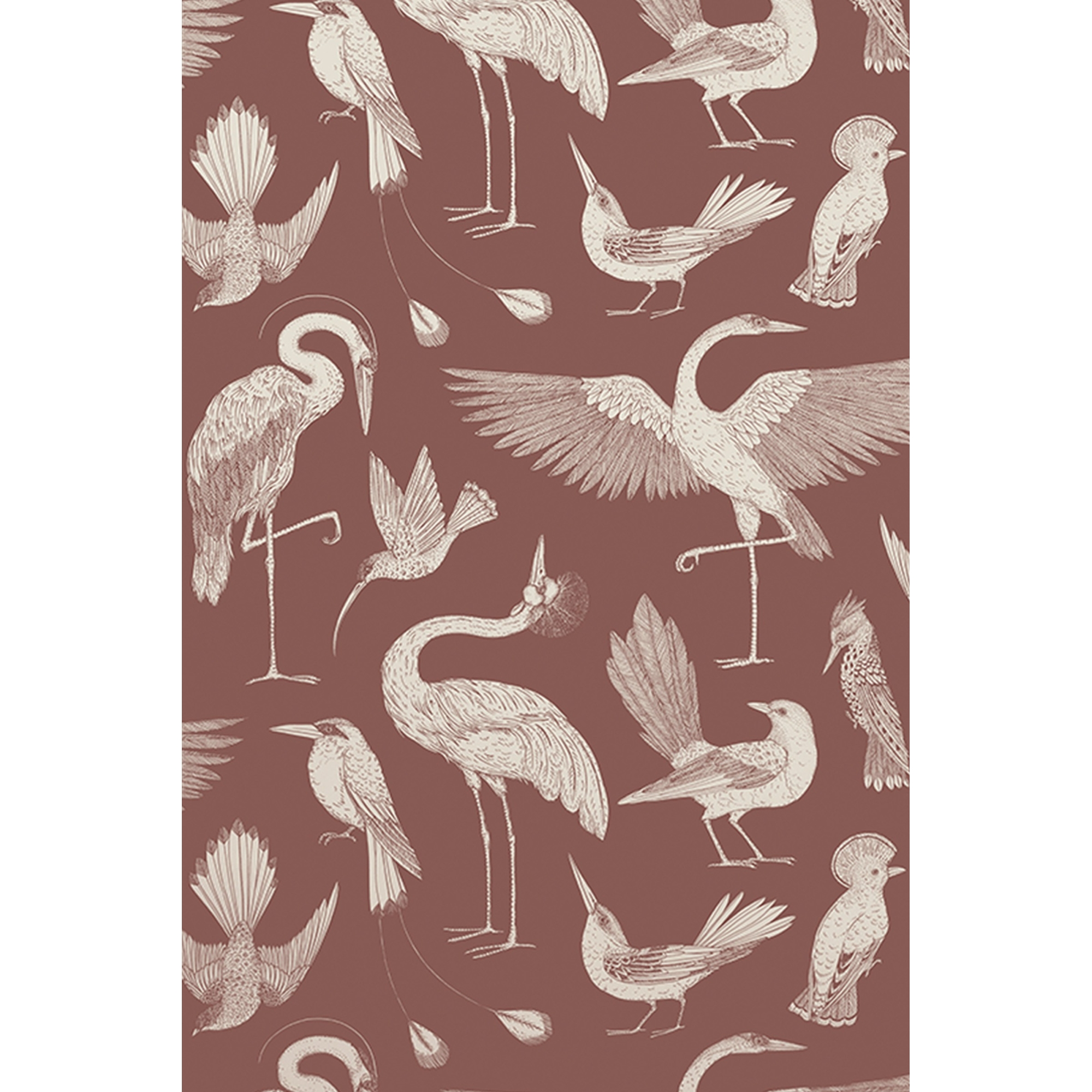 OUT OF STOCK - Dusty red - Birds Wallpaper - Katie Scott - Ferm Living