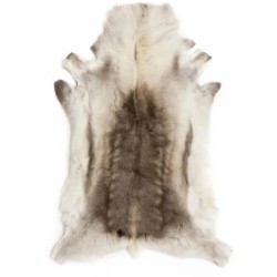 reindeer skin