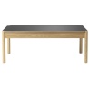 coffee table C44 - 45 x120 x 60 cm - FDB Møbler