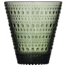 2 x tumblers 30cl Kastehelmi - pine green - Iittala