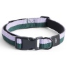 Dog collar S/M - lavender and green - HAY