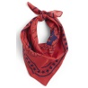 Foulard pour chien - rouge - HAY