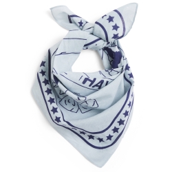 Dog scarf - light blue - HAY