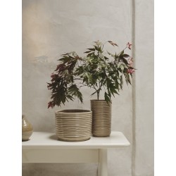 Corduroy vase - cashmere - Ferm Living