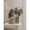 Vase Corduroy - cachemire - Ferm Living