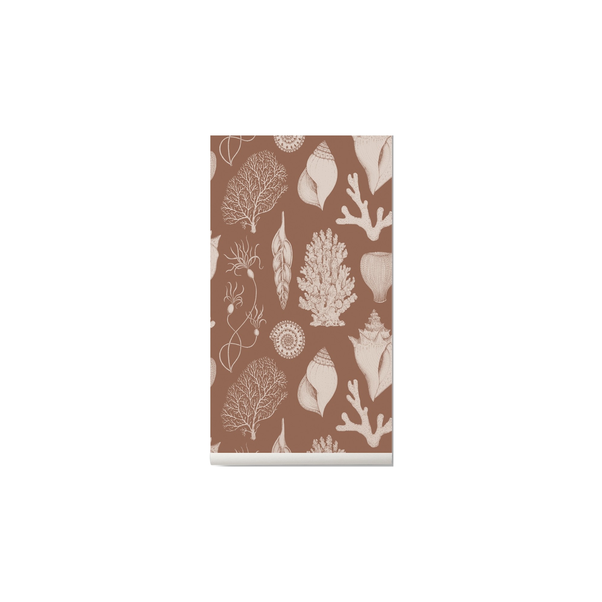 toffee brown - Shells Wallpaper - Katie Scott - Ferm Living