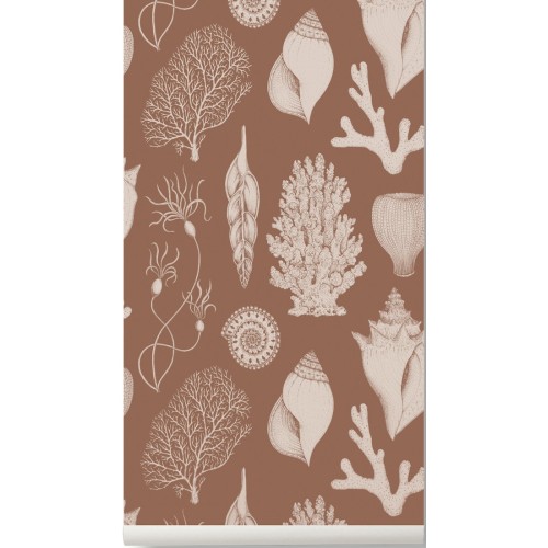 toffee brown - Shells Wallpaper - Katie Scott - Ferm Living