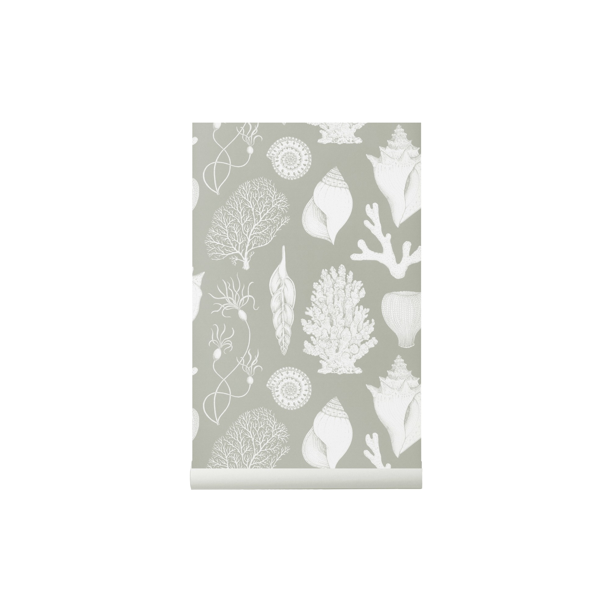 SOLD OUT Aqua - Shells Wallpaper - Katie Scott - Ferm Living