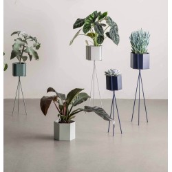 low - black - Hexagon Plant Stand