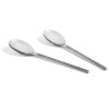 2 x serving spoon - Sunday - HAY