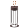 In Vitro Unplugged portable lamp – deep brown - Flos